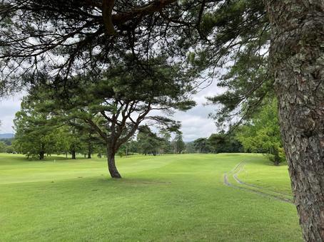 松の木とカートコースがあるゴルフ場 松の木とカートコースがあるゴルフ場 ゴルフ,鬼怒川カントリークラブ,鬼怒川の写真素材