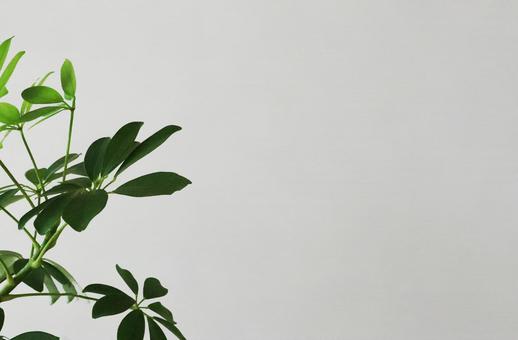 web conference background material green web conference background material green