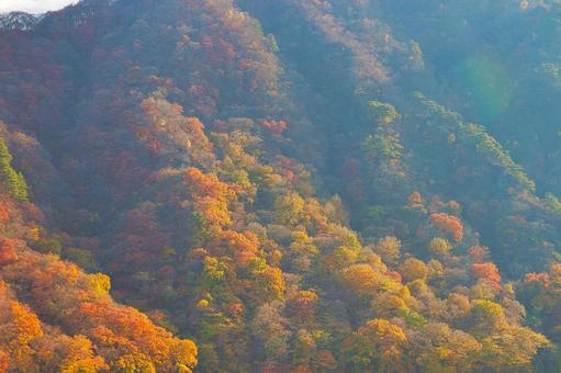 八ッ場（紅葉）群馬 紅葉,秋景色,秋の写真素材