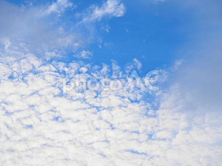 シンプル背景　空と雲の文字入れ背景素材 空,雲,フレームの写真素材