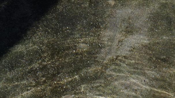 水紋 水紋の写真