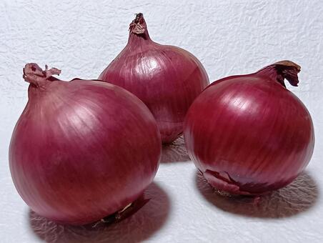 アーリーレッド アーリーレッド,赤玉ねぎ,野菜の写真素材