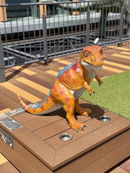 福井駅の屋上　恐竜のモニュメント モニュメント,恐竜,ウッドデッキの写真素材