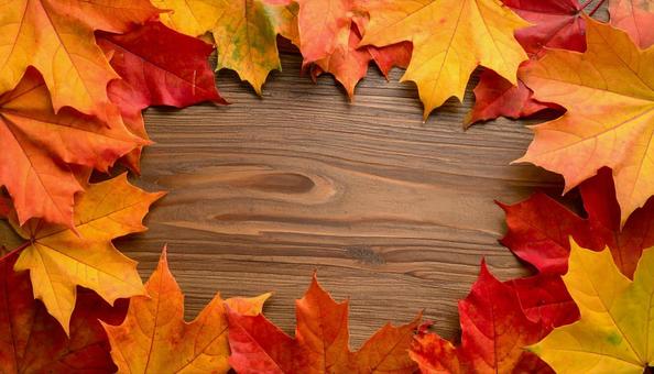 秋の紅葉が囲む木目の背景 秋の紅葉が囲む木目の背景の写真