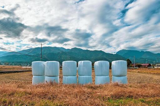 収穫後の田んぼにあるラップサイレージ ラップサイレージ,サイレージラップ,ロールベールラップサイロの写真素材