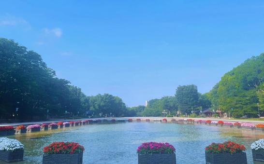 公園と青空 公園と青空 公園,開放的,リラックスの写真素材