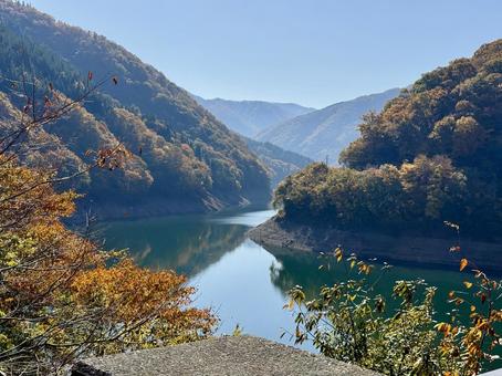 秋晴れの九頭竜湖　紅葉の山肌 土木遺産,建造物,夢のかけはしの写真素材