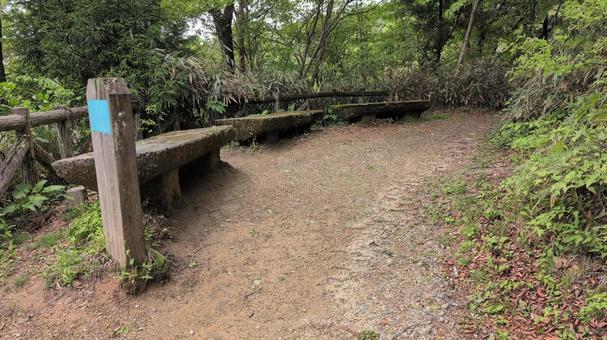 気持ちのいい登山道⑤ 気持ちのいい登山道⑤ 登山道,気持ちいい,平坦の写真素材