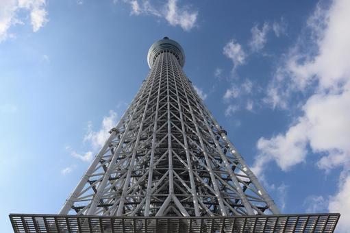 雲と青空とスカイツリーを見あげた風景 雲と青空とスカイツリーを見あげた風景 雲,青空,スカイツリーの写真素材