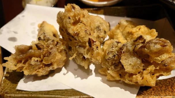 舞茸天 舞茸天,マイタケ,舞茸の写真素材