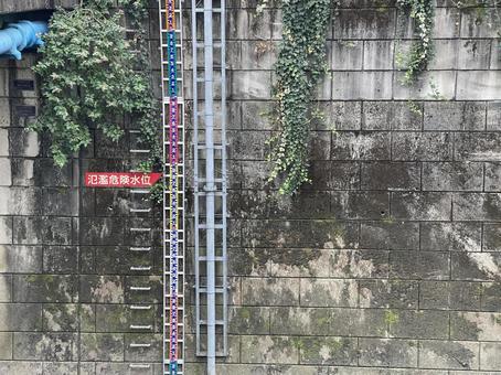 神田川11月：護岸の氾濫危険水位目盛り 神田川,護岸,堤防の写真素材