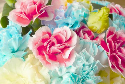 色とりどりのカーネーション カーネーション,花束,カラフルの写真素材
