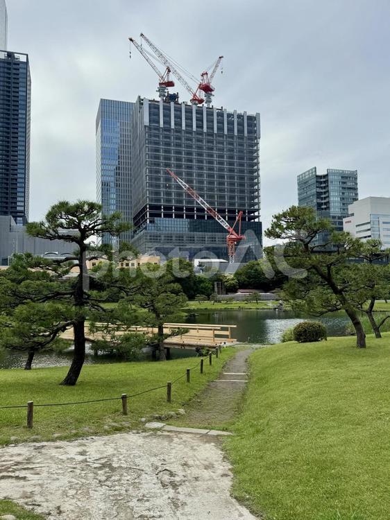 6月　旧芝離宮恩賜庭園 旧芝離宮恩賜庭園,都会の自然,クレーンの写真素材