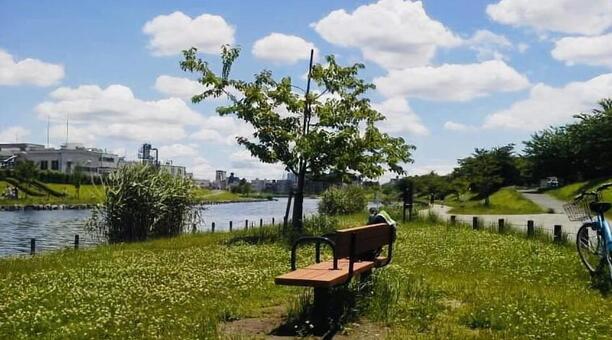 公園、河原 公園、河原の写真