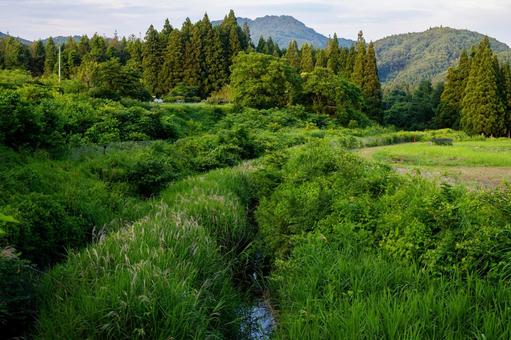 里の風景⑵ 里の風景⑵の写真