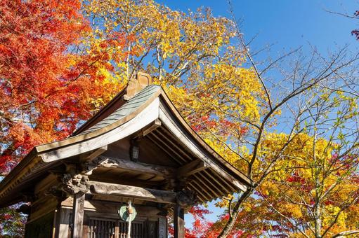 称名寺の紅葉(27) 秋,紅葉,称名寺の写真素材