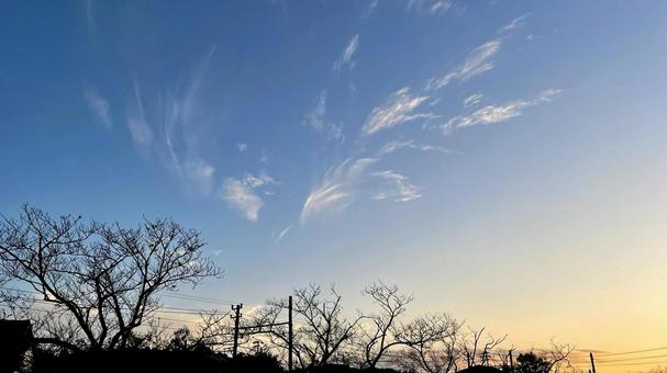 空がメインNM31 空がメインNM31 空,青,雲の写真素材