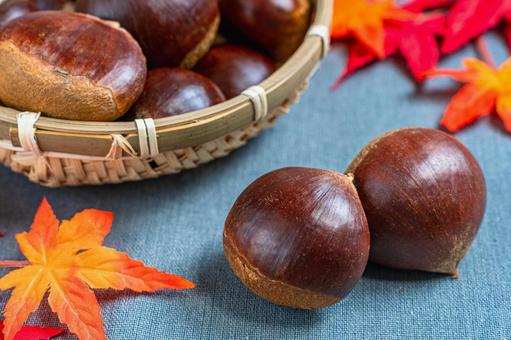 栗と紅葉 栗,愛媛県産,竹ざるの写真素材