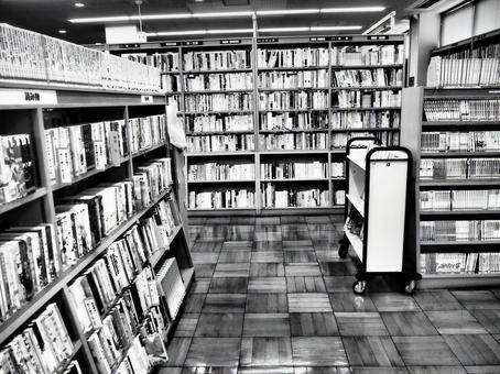 ホラーゲームのような図書館 ホラーゲームのような図書館 図書館,不気味,恐怖の写真素材