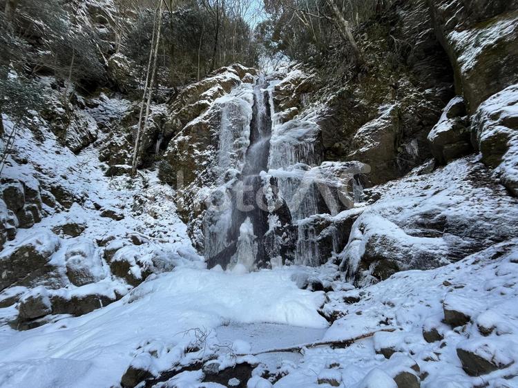 雪の中の白糸の滝の風景 白糸の滝,雪,景色の写真素材