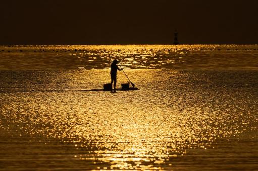 朝日の中 朝日,サップ,海の写真素材