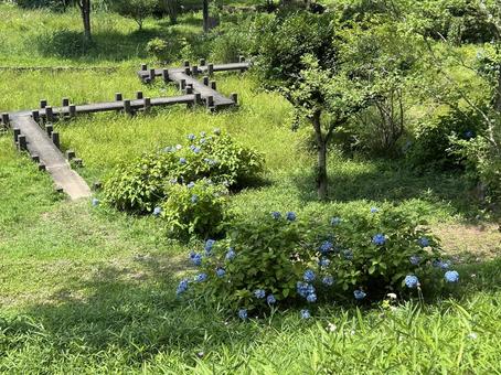 森 路地 森 路地 森,路地,木の写真素材