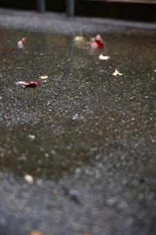 雨上がりの道路 雨,水面,土砂降りの写真素材