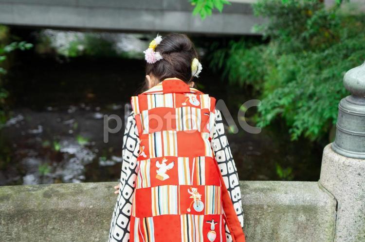 着物を着た後ろ姿の女の子 七五三詣,七五三,七五三参りの写真素材
