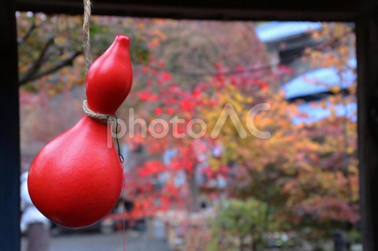 赤いひょうたんと紅葉 モミジ,景色,秋の写真素材