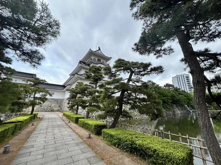 富山城 富山城 富山,富山城,富山城址公園の写真素材