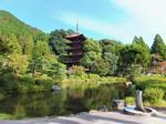 瑠璃光寺五重塔　山口県 瑠璃光寺,五重塔,塔の写真素材