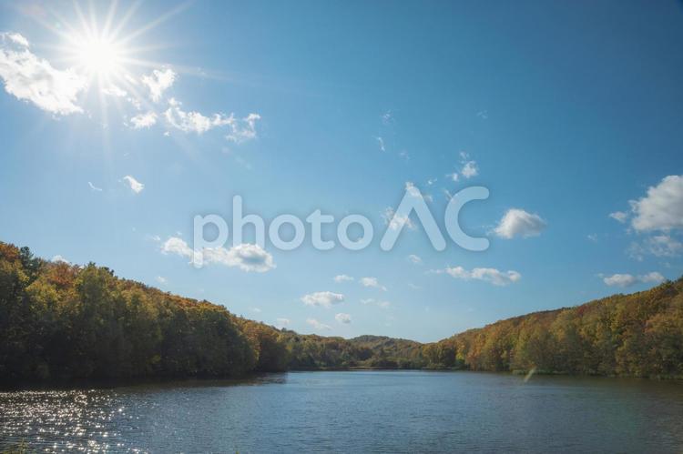 札幌の西岡公園の風景 西岡公園,札幌,北海道の写真素材