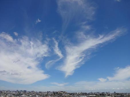 雲の優美 雲の優美の写真