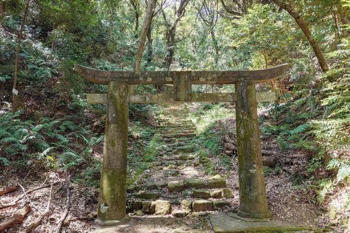 愛宕山の肥前鳥居 愛宕山の肥前鳥居の写真