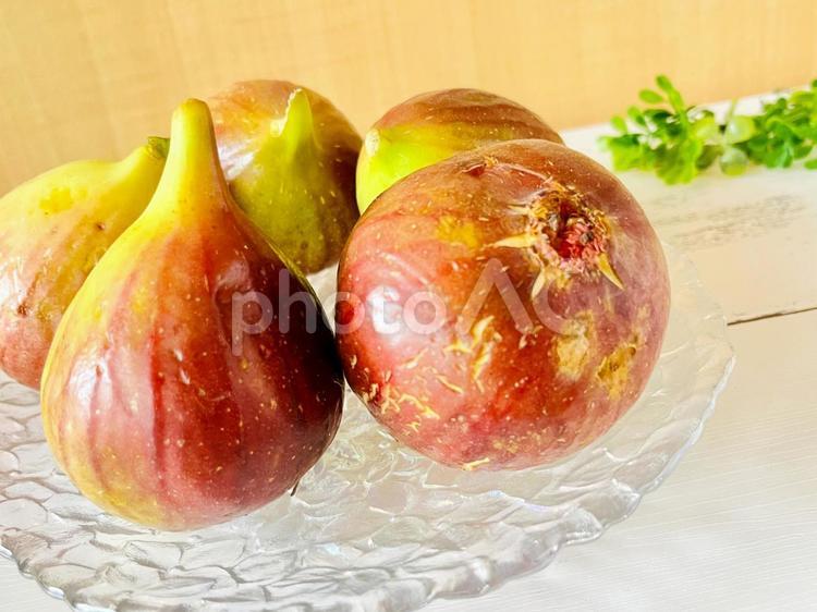 ガラス食器に盛られたいちじく いちじく,無花果,果物の写真素材