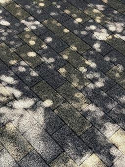 遠い夏の日 遠い夏の日の写真
