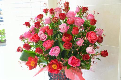 Photo, rose, peony root, statis, 