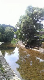 夏の川 夏の川の写真