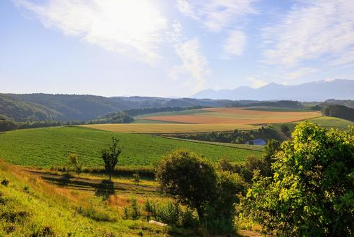 北海道の風景 北海道の風景,畑,農業の写真素材