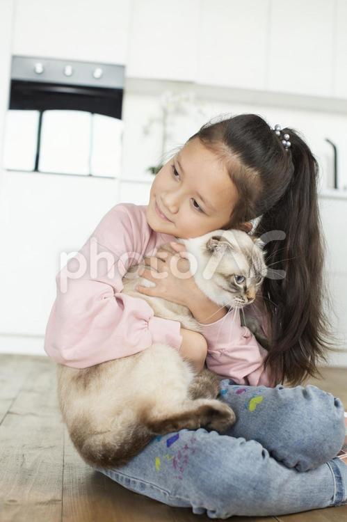 猫を抱っこしている女の子 抱きしめる,女の子,猫の写真素材