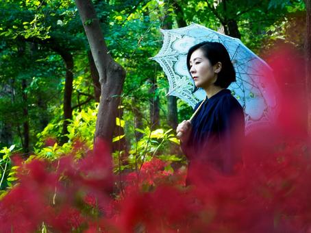 40:彼岸花を静かに眺める女性 40:彼岸花を静かに眺める女性 彼岸花,ミステリアス,悲しげの写真素材