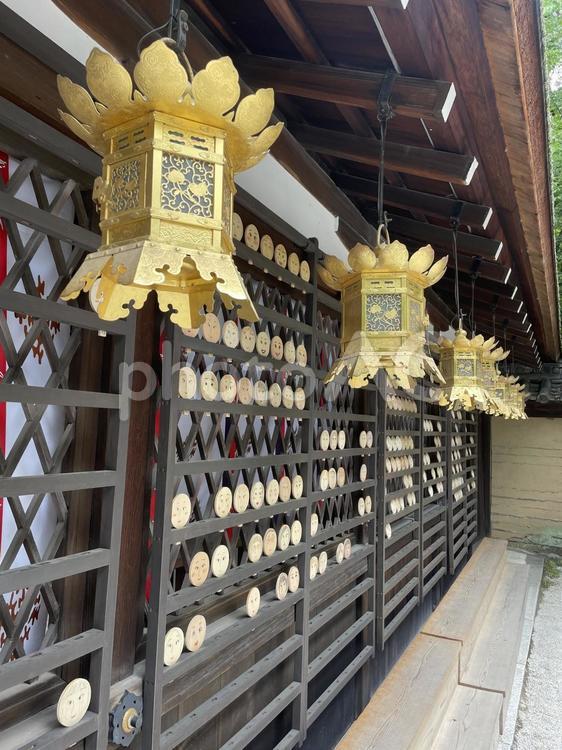 神社の境内 下鴨神社,河合神社,玉依姫命の写真素材