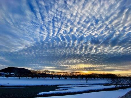 夕暮れ時のうろこ雲の写真