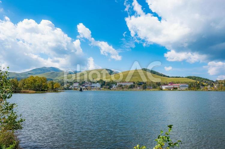 白樺湖（長野県） 長野県,湖,湖畔の写真素材