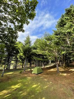 森の中のテントの写真