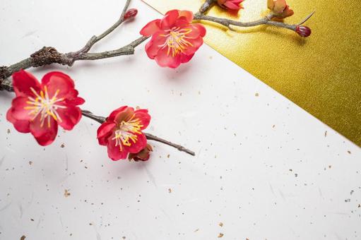 金紙映える紅梅の上質な和風背景 紅梅,正月,梅の写真素材