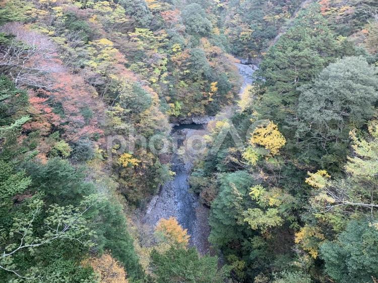 又寸峡　秋の紅葉 又寸峡,紅葉,秋の写真素材