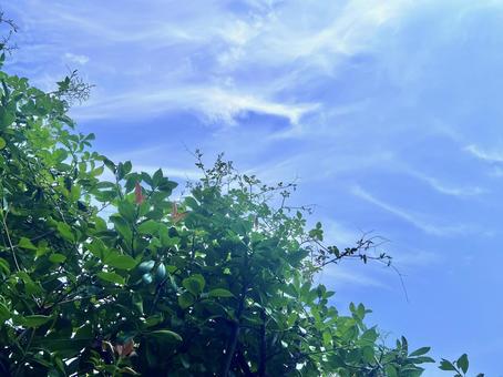 空 空の写真
