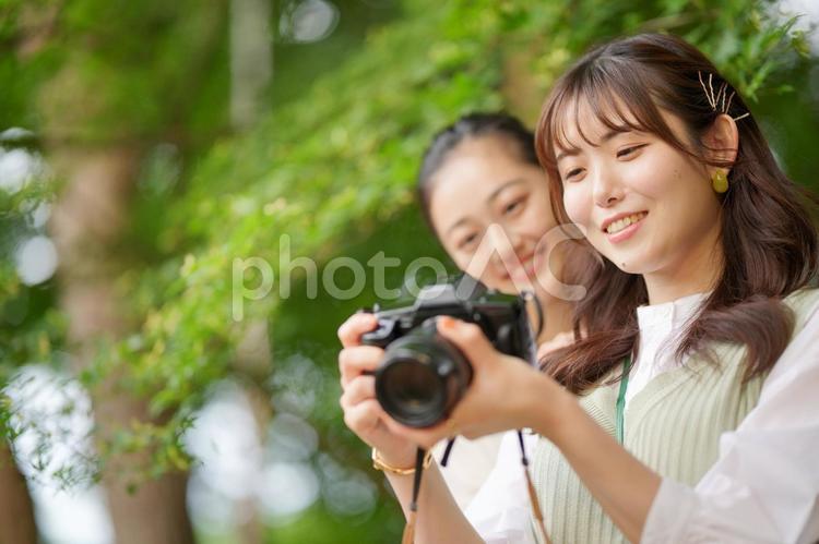 一眼レフカメラの画面を見ている2人の女性 女子旅,女性,日本人の写真素材