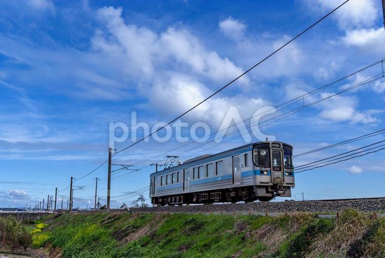 伊予西条行普通列車 電車,ワンマン,7000系の写真素材